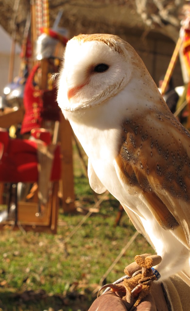 La imagen tiene un atributo ALT vacío; su nombre de archivo es img_6880.jpg